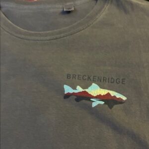 SOLDBreckenridge Gray Short Sleeve Tee with Fish Design